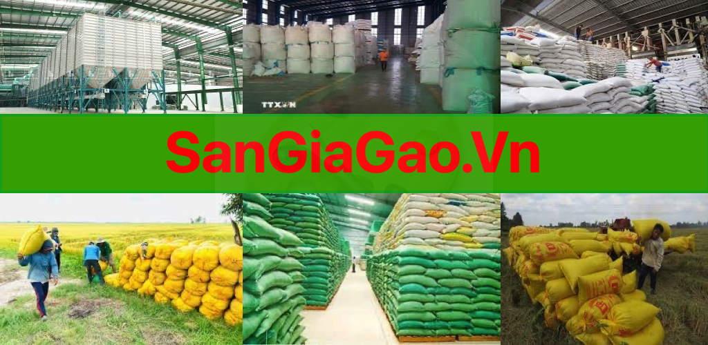 Sàn Giá Gạo